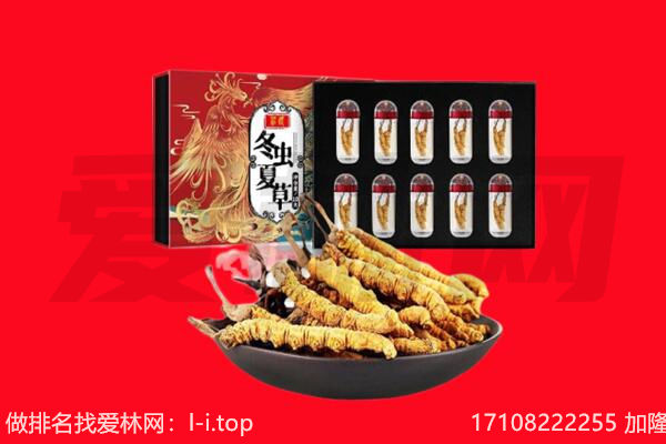 玛曲县回收虫草.jpg